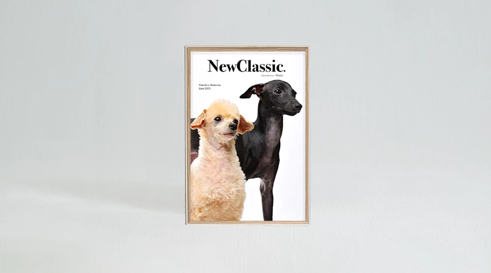 スタンダードプラン