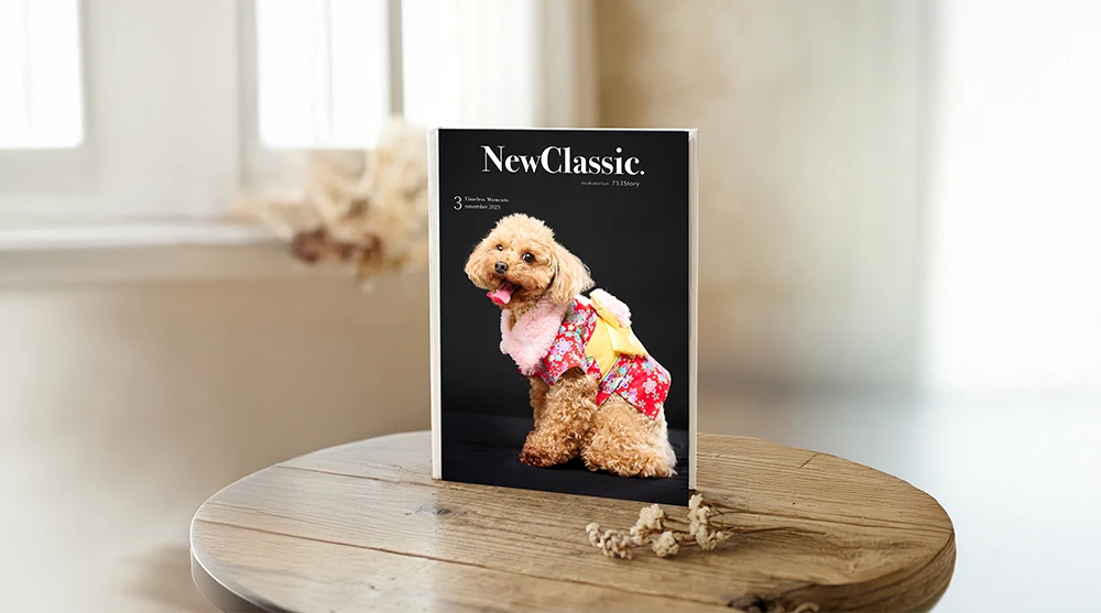 ストーリープラン