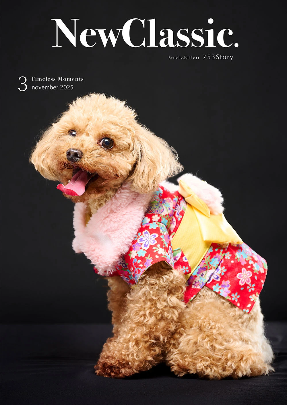 ペット撮影ギャラリー写真1