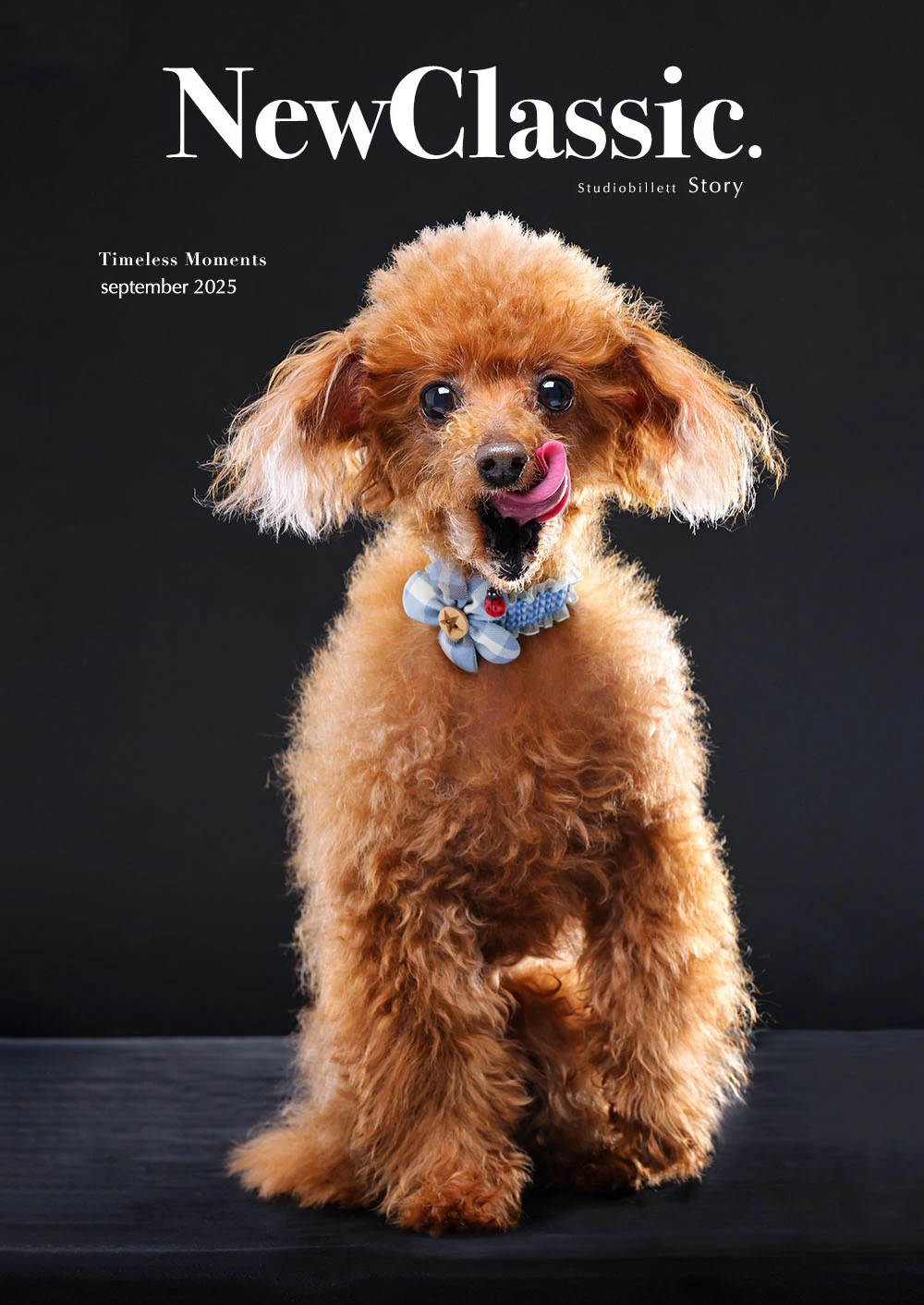 ギャラリー写真5